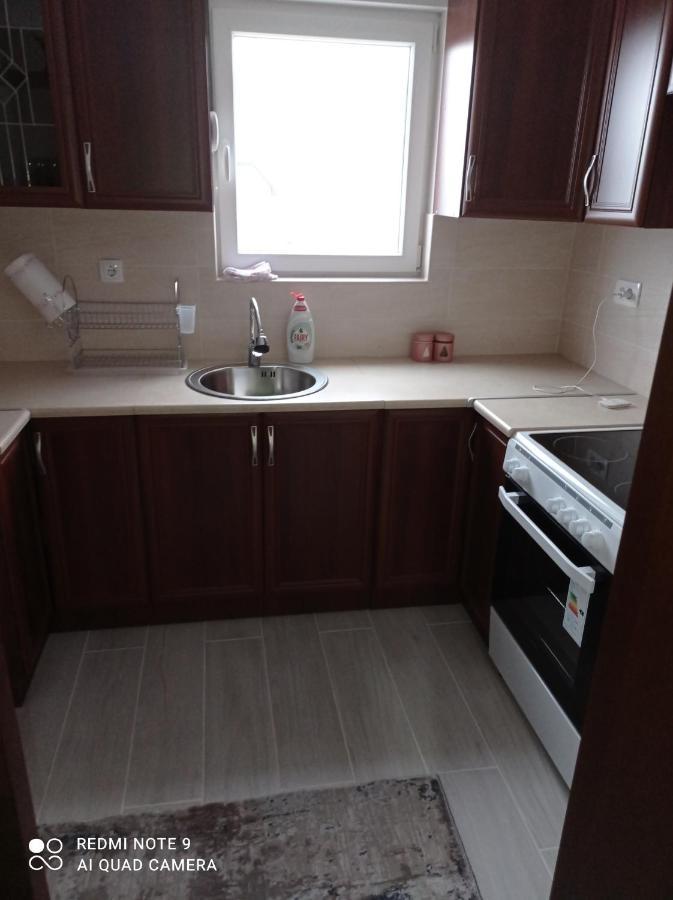 זבליאק Apartman Svetlana 2 מראה חיצוני תמונה