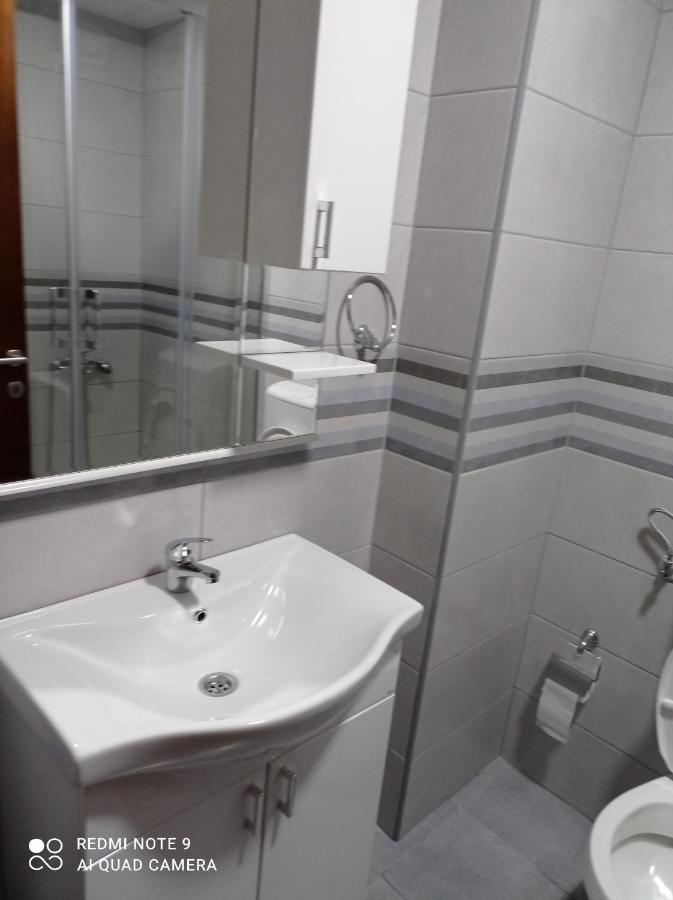 זבליאק Apartman Svetlana 2 מראה חיצוני תמונה