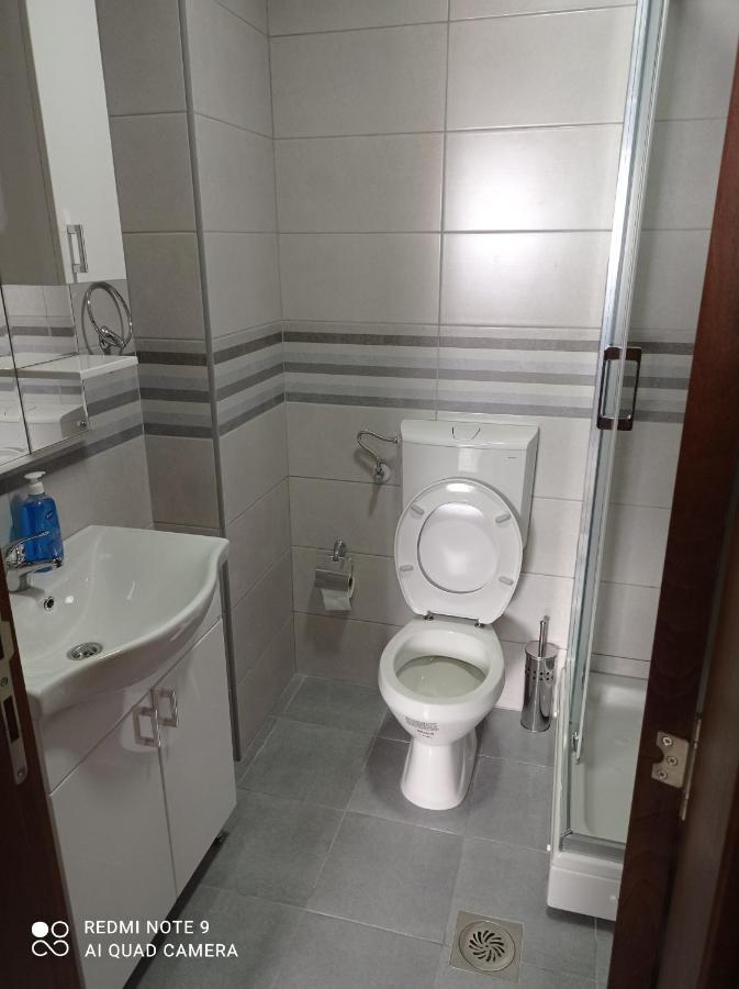 זבליאק Apartman Svetlana 2 מראה חיצוני תמונה