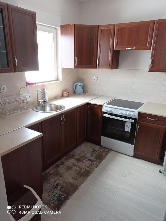 זבליאק Apartman Svetlana 2 מראה חיצוני תמונה