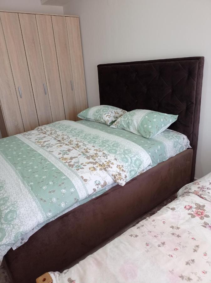 זבליאק Apartman Svetlana 2 מראה חיצוני תמונה